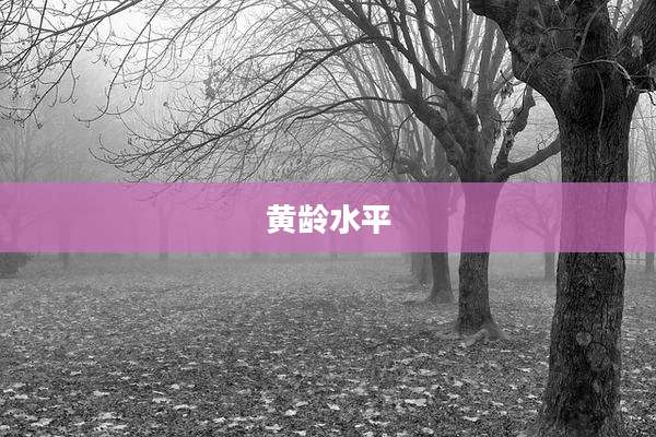 黄龄水平