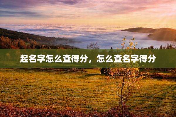 起名字怎么查得分，怎么查名字得分