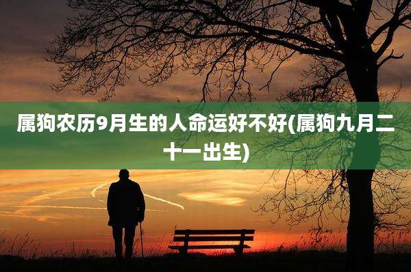 属狗农历9月生的人命运好不好(属狗九月二十一出生)