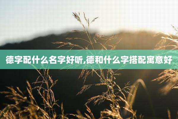德字配什么名字好听,德和什么字搭配寓意好