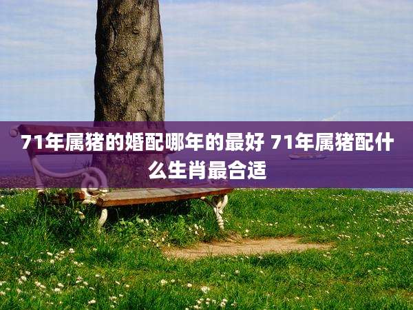 71年属猪的婚配哪年的最好 71年属猪配什么生肖最合适