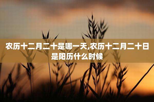 农历十二月二十是哪一天,农历十二月二十日是阳历什么时候