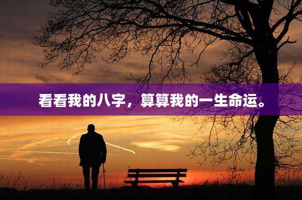 看看我的八字，算算我的一生命运。