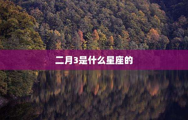 二月3是什么星座的