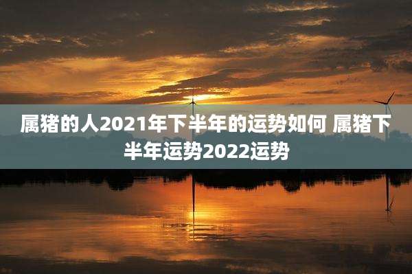 属猪的人2021年下半年的运势如何 属猪下半年运势2022运势