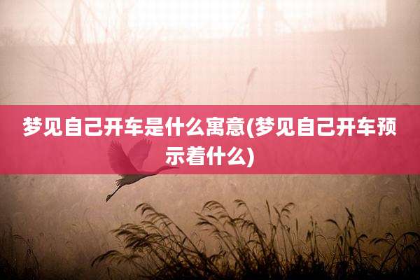 梦见自己开车是什么寓意(梦见自己开车预示着什么)