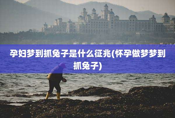 孕妇梦到抓兔子是什么征兆(怀孕做梦梦到抓兔子)