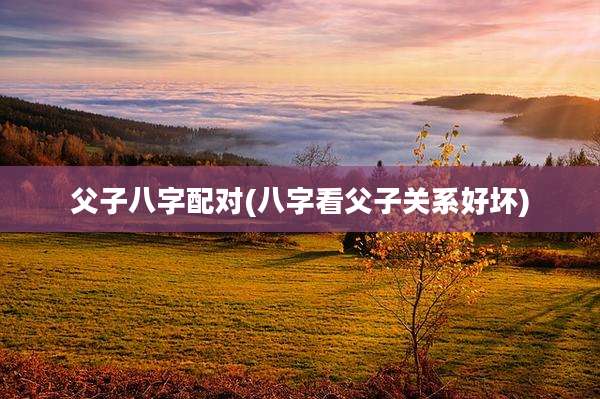 父子八字配对(八字看父子关系好坏)