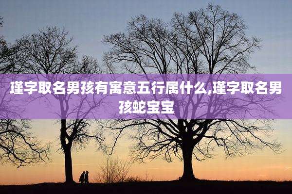 瑾字取名男孩有寓意五行属什么,瑾字取名男孩蛇宝宝