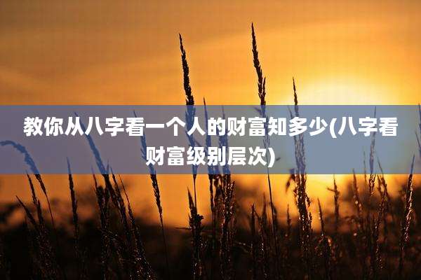 教你从八字看一个人的财富知多少(八字看财富级别层次)
