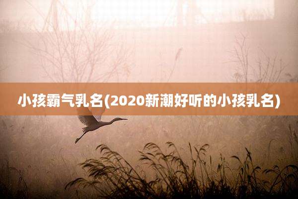 小孩霸气乳名(2020新潮好听的小孩乳名)