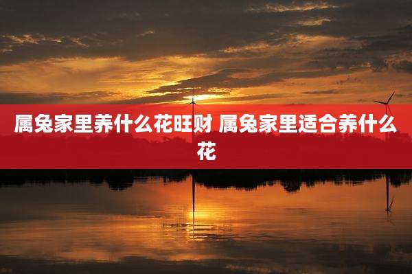 属兔家里养什么花旺财 属兔家里适合养什么花