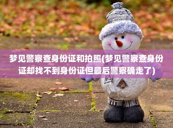 梦见警察查身份证和拍照(梦见警察查身份证却找不到身份证但最后警察确走了)