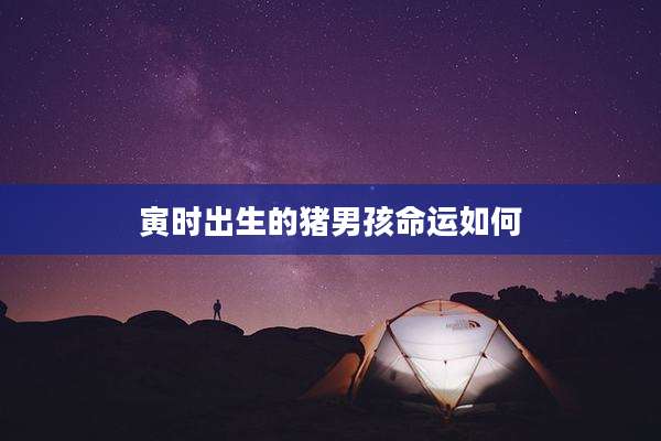 寅时出生的猪男孩命运如何