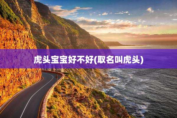虎头宝宝好不好(取名叫虎头)