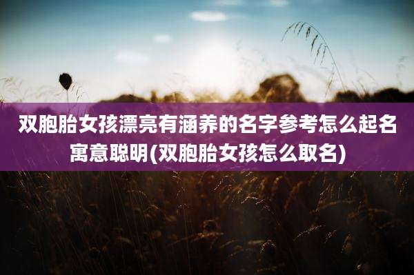 双胞胎女孩漂亮有涵养的名字参考怎么起名寓意聪明(双胞胎女孩怎么取名)