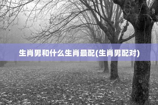 生肖男和什么生肖最配(生肖男配对)