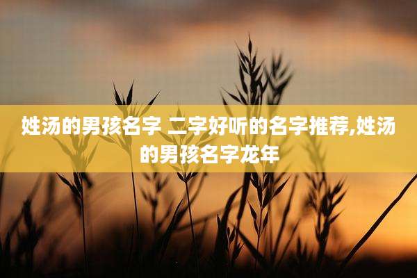 姓汤的男孩名字 二字好听的名字推荐,姓汤的男孩名字龙年