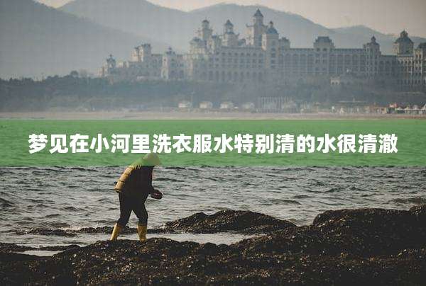 梦见在小河里洗衣服水特别清的水很清澈