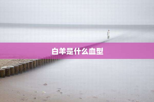 白羊是什么血型