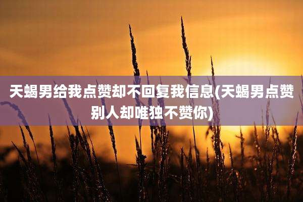 天蝎男给我点赞却不回复我信息(天蝎男点赞别人却唯独不赞你)