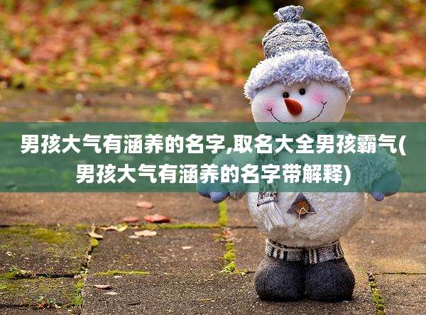 男孩大气有涵养的名字,取名大全男孩霸气(男孩大气有涵养的名字带解释)