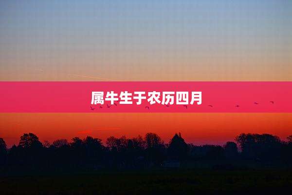 属牛生于农历四月