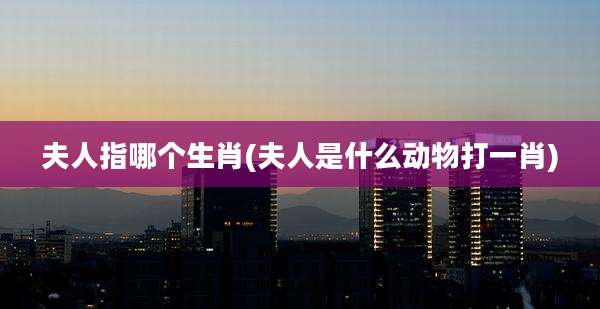夫人指哪个生肖(夫人是什么动物打一肖)