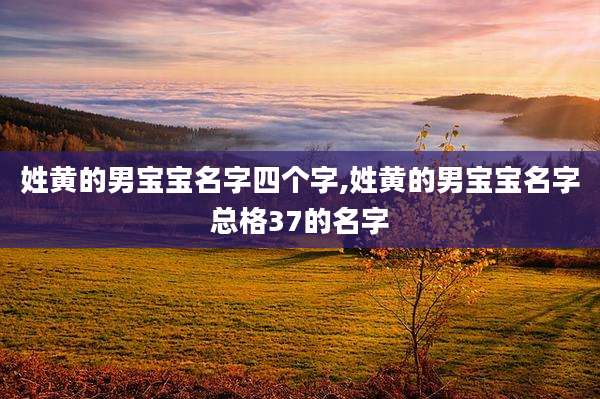 姓黄的男宝宝名字四个字,姓黄的男宝宝名字总格37的名字