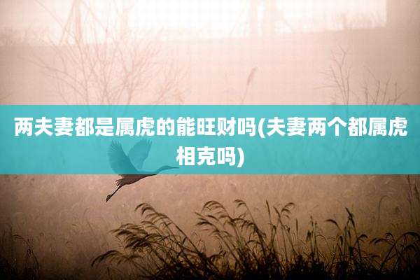 两夫妻都是属虎的能旺财吗(夫妻两个都属虎相克吗)