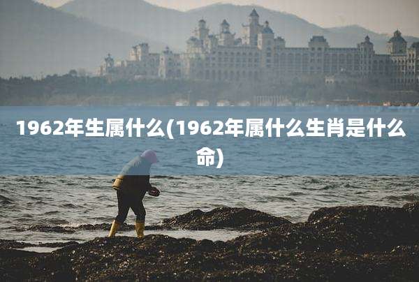 1962年生属什么(1962年属什么生肖是什么命)