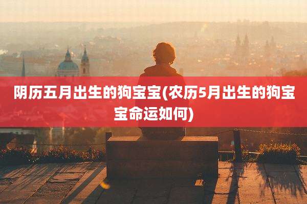 阴历五月出生的狗宝宝(农历5月出生的狗宝宝命运如何)