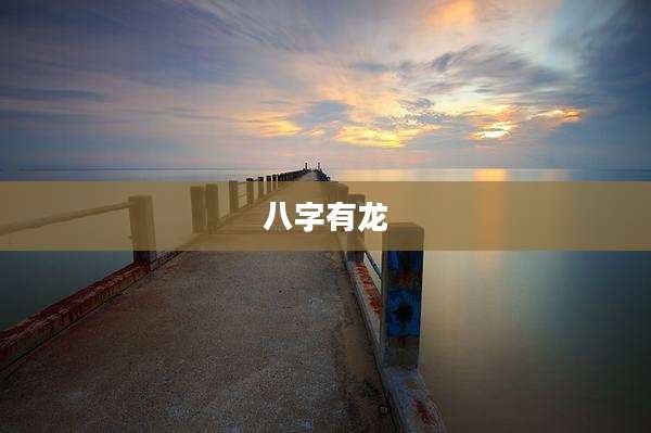 八字有龙