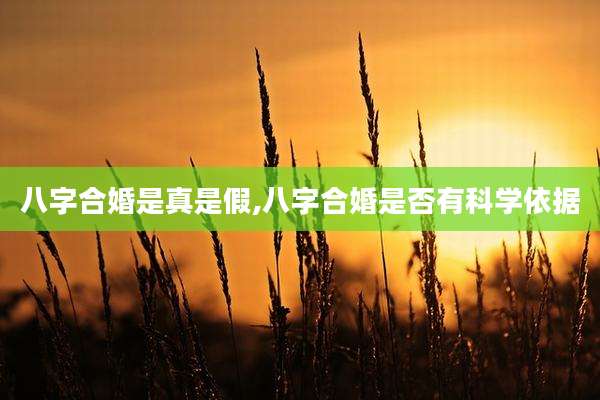 八字合婚是真是假,八字合婚是否有科学依据