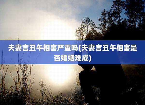 夫妻宫丑午相害严重吗(夫妻宫丑午相害是否婚姻难成)