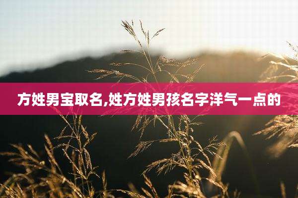 方姓男宝取名,姓方姓男孩名字洋气一点的
