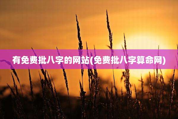 有免费批八字的网站(免费批八字算命网)