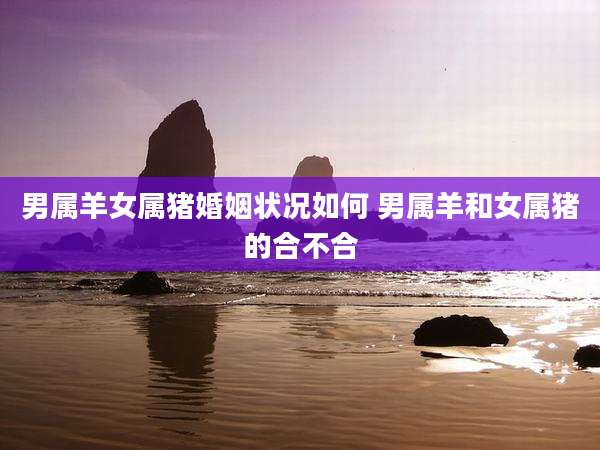 男属羊女属猪婚姻状况如何 男属羊和女属猪的合不合