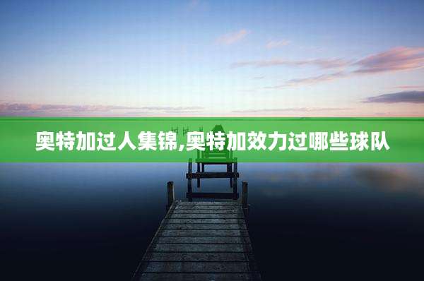 奥特加过人集锦,奥特加效力过哪些球队