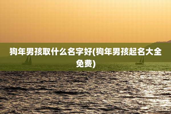 狗年男孩取什么名字好(狗年男孩起名大全免费)