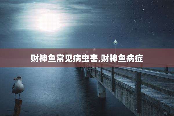 财神鱼常见病虫害,财神鱼病症