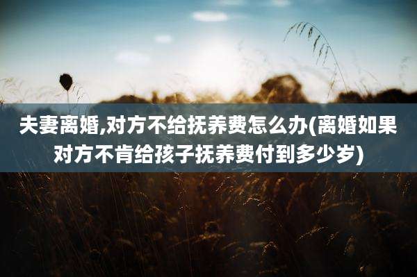 夫妻离婚,对方不给抚养费怎么办(离婚如果对方不肯给孩子抚养费付到多少岁)
