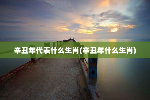 辛丑年代表什么生肖(辛丑年什么生肖)
