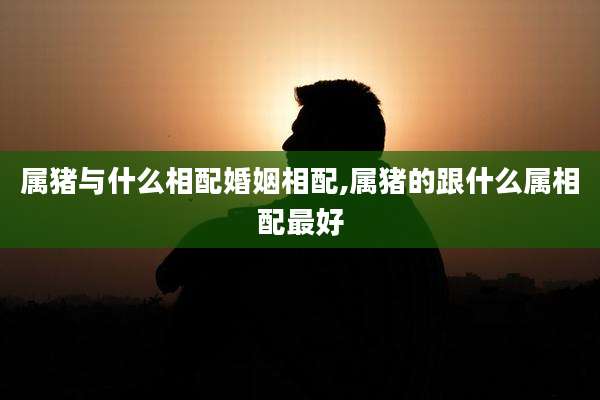 属猪与什么相配婚姻相配,属猪的跟什么属相配最好