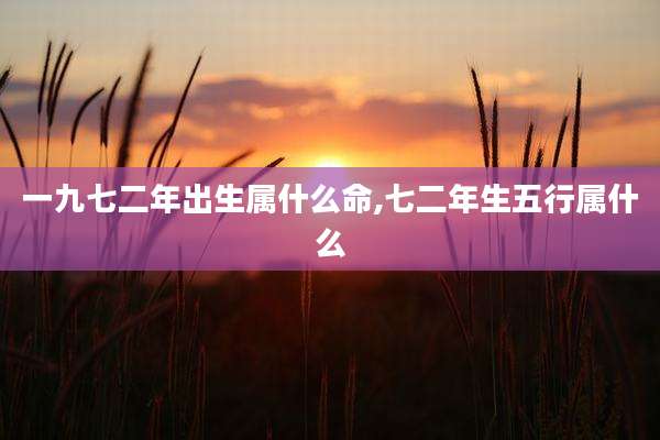 一九七二年出生属什么命,七二年生五行属什么