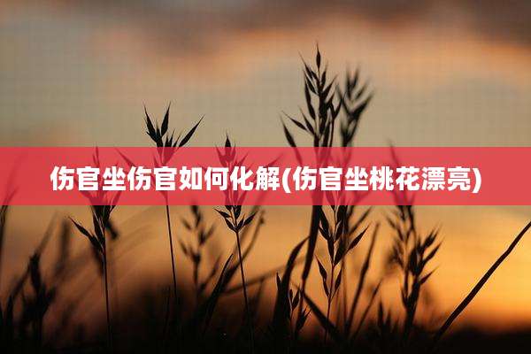 伤官坐伤官如何化解(伤官坐桃花漂亮)