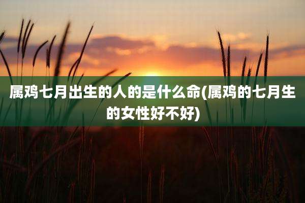 属鸡七月出生的人的是什么命(属鸡的七月生的女性好不好)