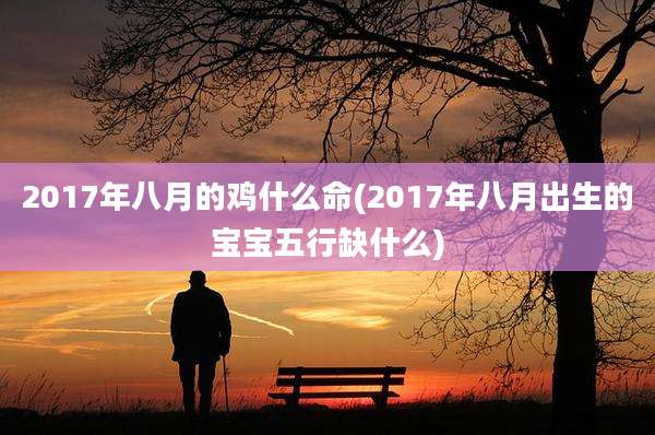 2017年八月的鸡什么命(2017年八月出生的宝宝五行缺什么)
