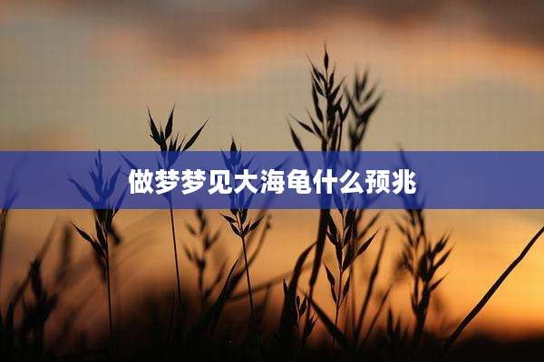 做梦梦见大海龟什么预兆