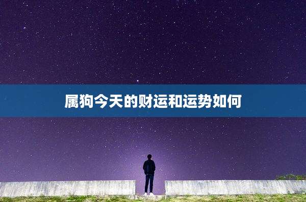 属狗今天的财运和运势如何